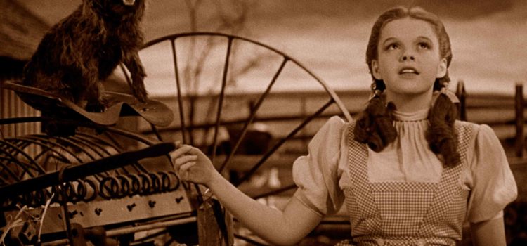 Yoga And The Wizard Of Oz