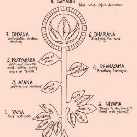 What Are The Yoga Sutras?