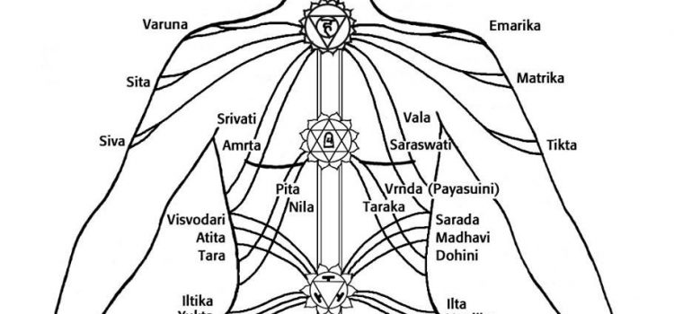 What Are Nadis: Yoga Teacher Training