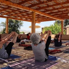 Uncovering the Flaws in Modern Yoga Teacher Training