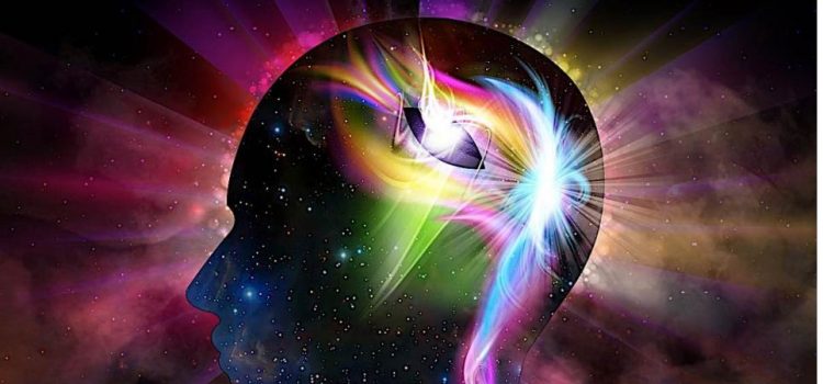 Enlightenment We Learn Is Everywhere