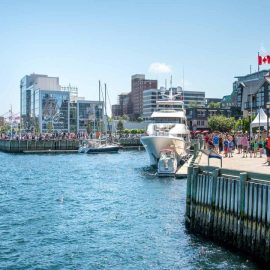 Guide to Yoga Teacher Training in Halifax