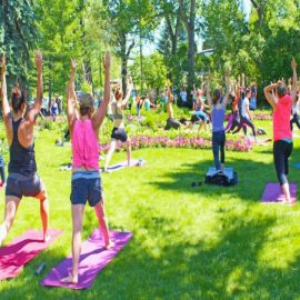 Has Calgary Yoga Teacher Training Recovered From COVID?