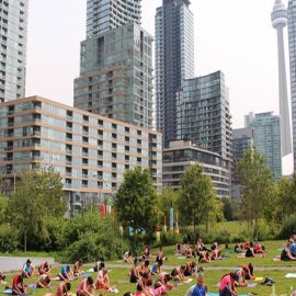 Yoga Teacher Training Toronto: What You Need to Know in 2026