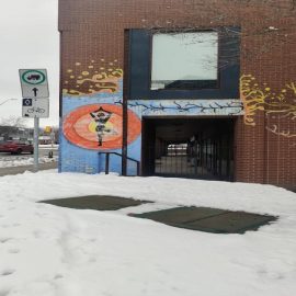 How to Become a Yoga Teacher in Hamilton (2026 Guide)