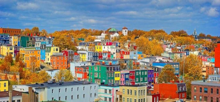 A Journey of Yoga Teacher Training in St. Johns