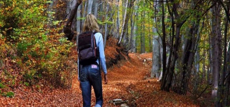 Yoga Teacher Training: A Tool for Major Mental Conditions