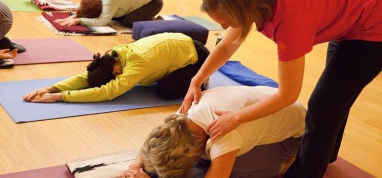 Yoga Teaching Career: Post Yoga Teacher Training