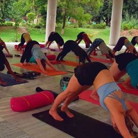 History of Yoga Teacher Training