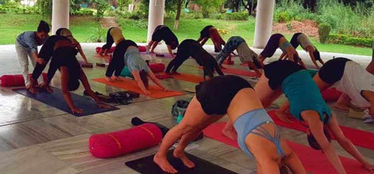 History of Yoga Teacher Training History of Yoga Teacher Training