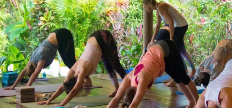 How to Choose Between 200hr, 300hr & Advanced Yoga Teacher Trainings in Canada How to Choose Between 200hr, 300hr & Advanced Yoga Teacher Trainings in Canada