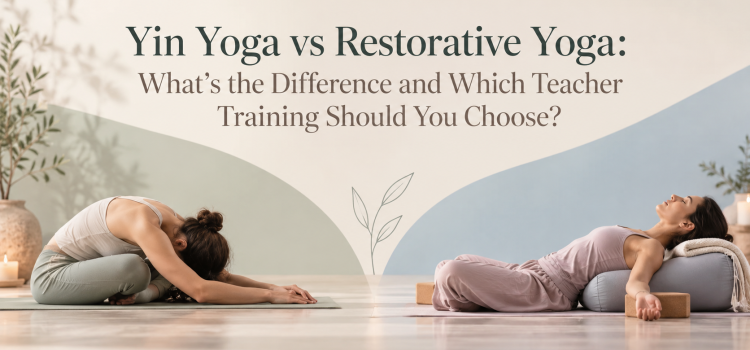 Yin Yoga vs Restorative Yoga: What’s the Difference and Which Teacher Training Should You Choose?